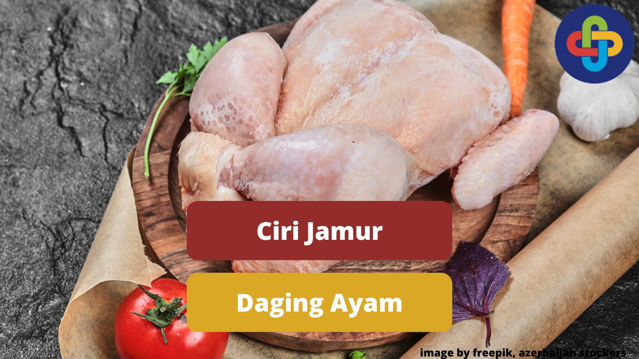 Ciri Jamur Yang Mengkontaminasi Daging Ayam